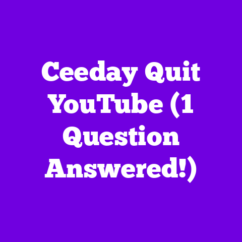 Ceeday Quit YouTube (1 Question Answered!)