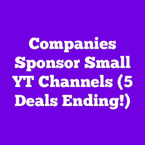 Companies Sponsor Small YT Channels (5 Deals Ending!)