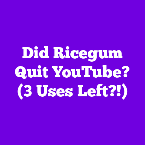 Did Ricegum Quit YouTube? (3 Uses Left?!)