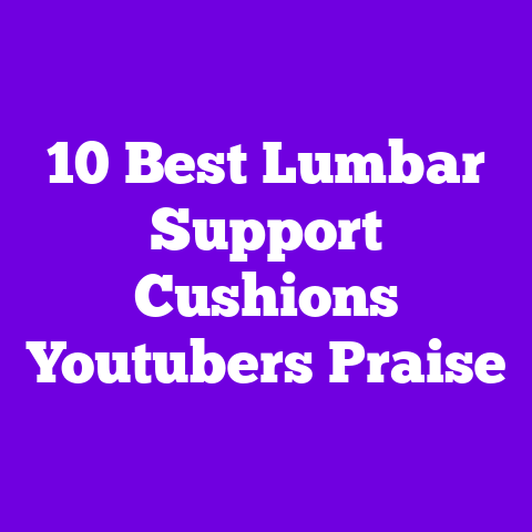 10 Best Lumbar Support Cushions Youtubers Praise
