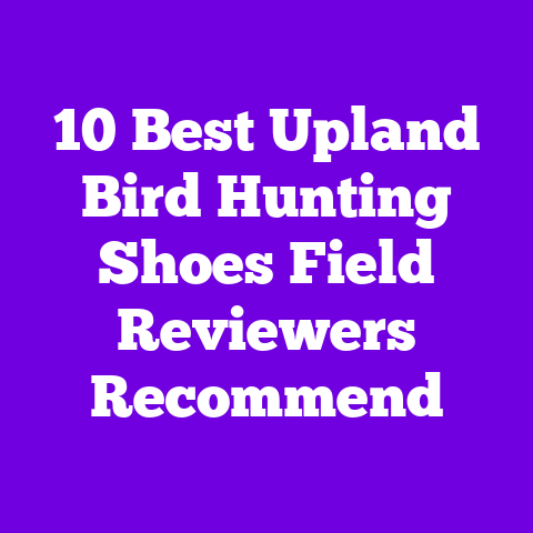 10 Best Upland Bird Hunting Shoes Field Reviewers Recommend
