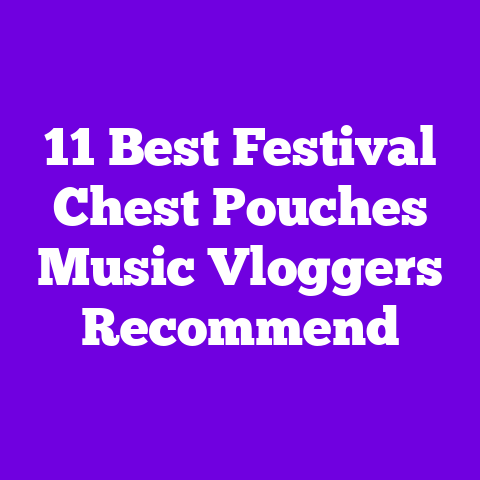 11 Best Festival Chest Pouches Music Vloggers Recommend