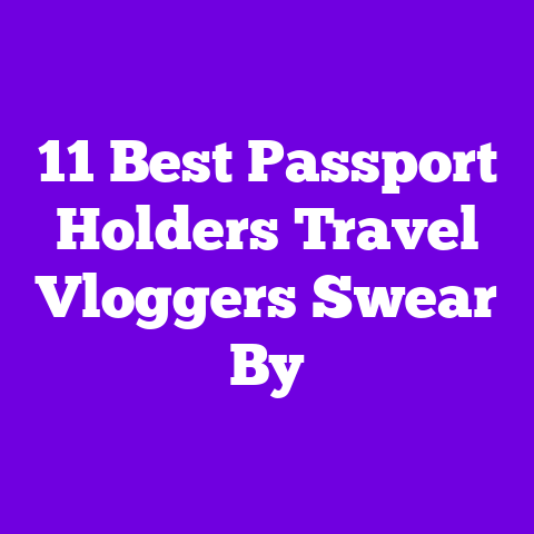 11 Best Passport Holders Travel Vloggers Swear By