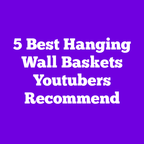 5 Best Hanging Wall Baskets Youtubers Recommend