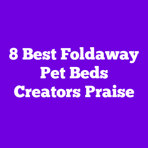 8 Best Foldaway Pet Beds Creators Praise