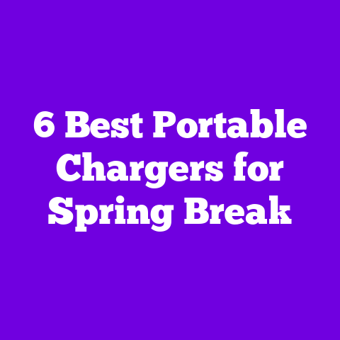 6 Best Portable Chargers for Spring Break