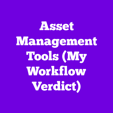 Asset Management Tools (My Workflow Verdict)
