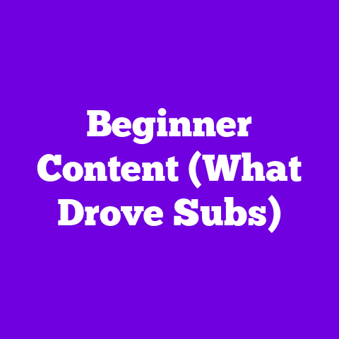 Beginner Content (What Drove Subs)