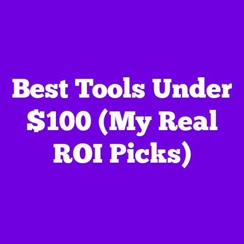 Best Tools Under $100 (My Real ROI Picks)