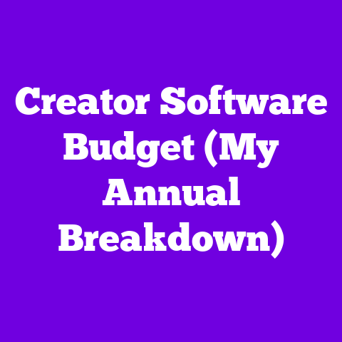 Creator Software Budget (My Annual Breakdown)