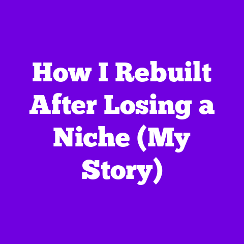 How I Rebuilt After Losing a Niche (My Story)