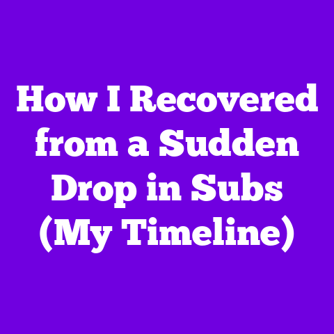 How I Recovered from a Sudden Drop in Subs (My Timeline)