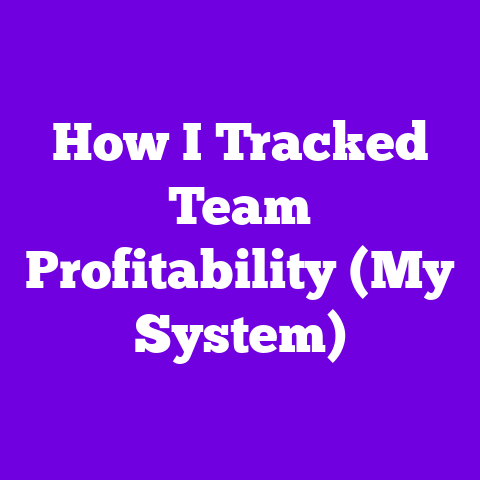 How I Tracked Team Profitability (My System)
