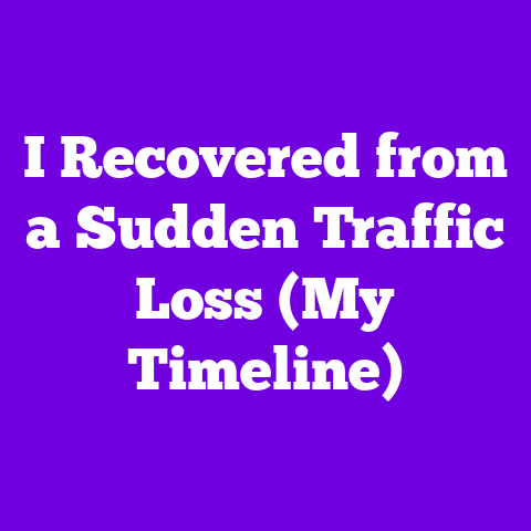 I Recovered from a Sudden Traffic Loss (My Timeline)