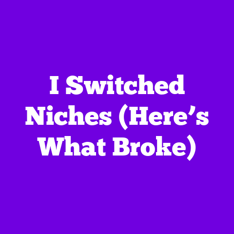 I Switched Niches (Here’s What Broke)