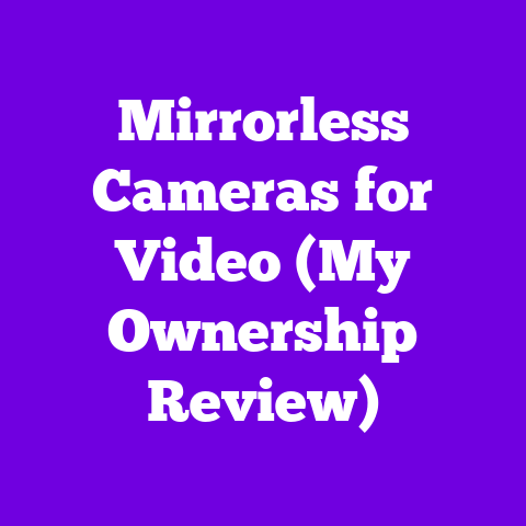 Mirrorless Cameras for Video (My Ownership Review)