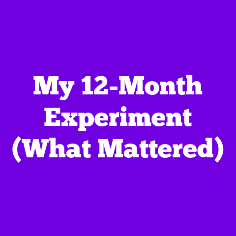 My 12-Month Experiment (What Mattered)