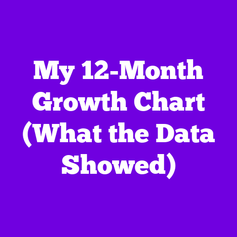 My 12-Month Growth Chart (What the Data Showed)