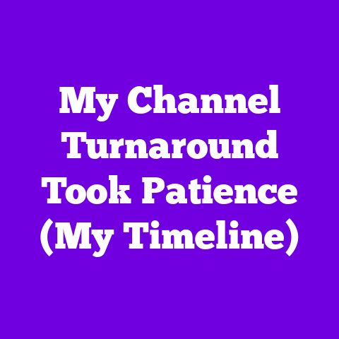 My Channel Turnaround Took Patience (My Timeline)