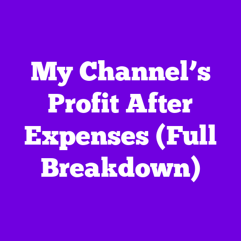 My Channel’s Profit After Expenses (Full Breakdown)