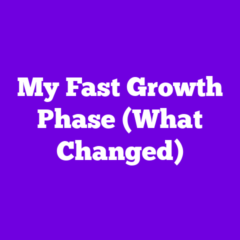 My Fast Growth Phase (What Changed)