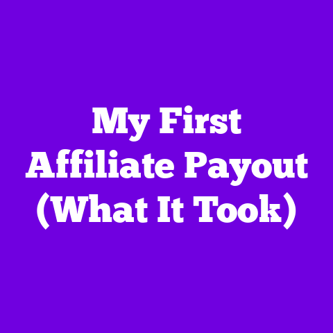 My First Affiliate Payout (What It Took)
