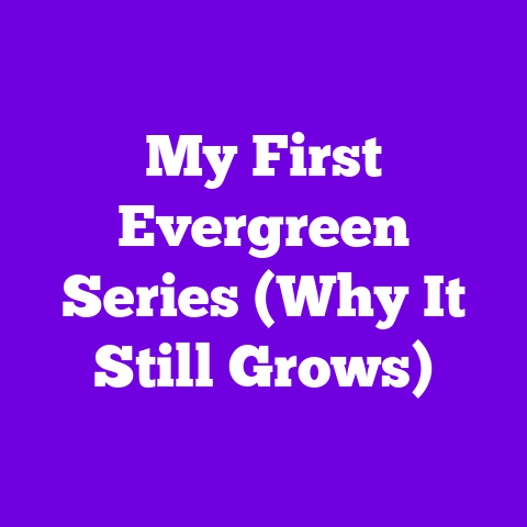 My First Evergreen Series (Why It Still Grows)