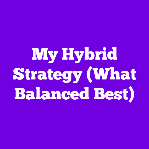 My Hybrid Strategy (What Balanced Best)