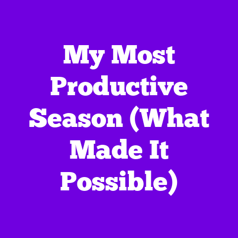My Most Productive Season (What Made It Possible)