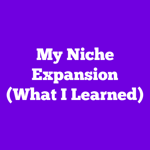 My Niche Expansion (What I Learned)