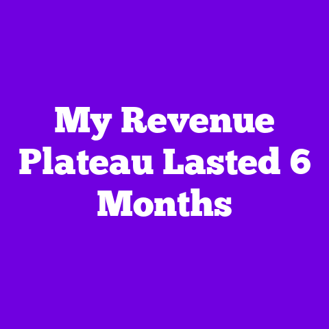 My Revenue Plateau Lasted 6 Months
