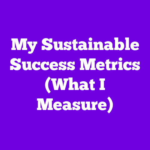 My Sustainable Success Metrics (What I Measure)