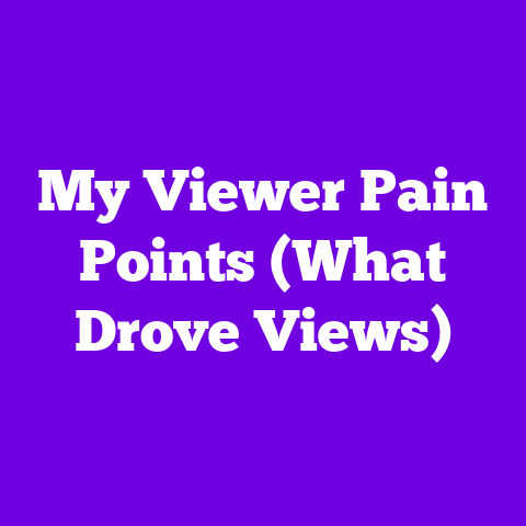 My Viewer Pain Points (What Drove Views)