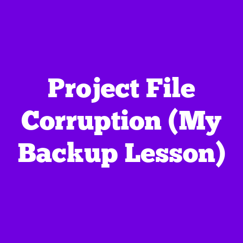 Project File Corruption (My Backup Lesson)