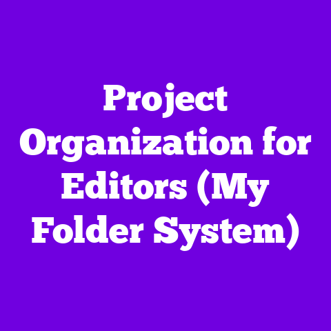 Project Organization for Editors (My Folder System)