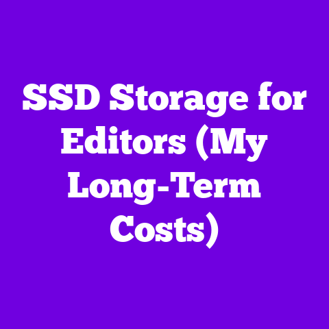 SSD Storage for Editors (My Long-Term Costs)