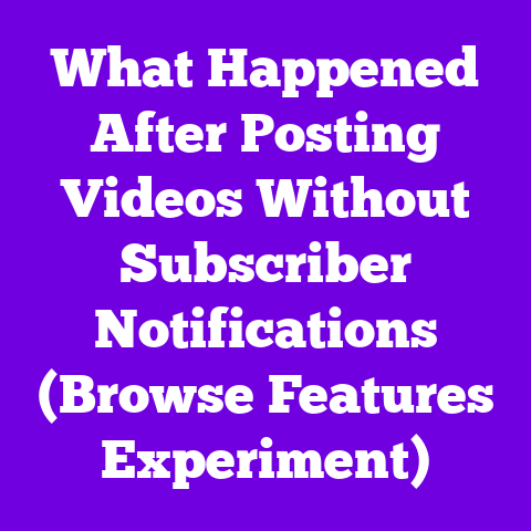 What Happened After Posting Videos Without Subscriber Notifications (Browse Features Experiment)