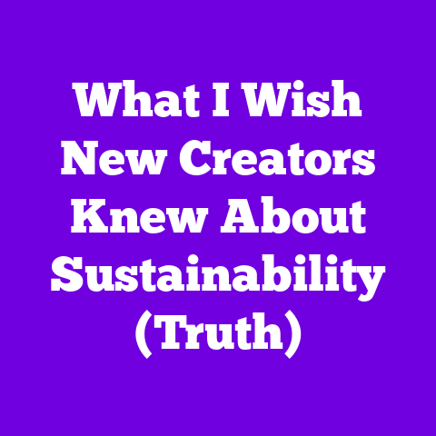 What I Wish New Creators Knew About Sustainability (Truth)