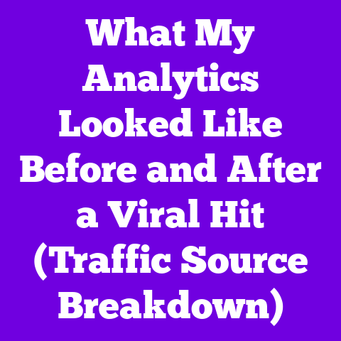 What My Analytics Looked Like Before and After a Viral Hit (Traffic Source Breakdown)