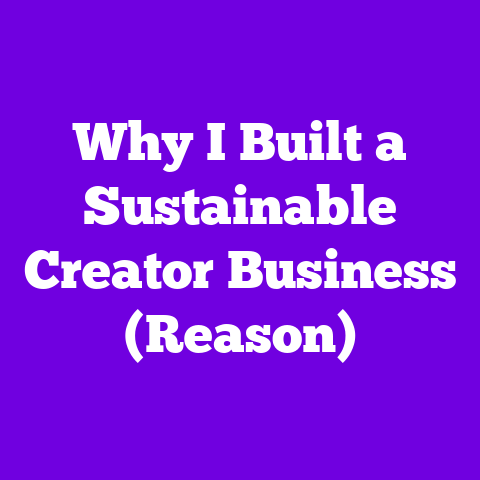 Why I Built a Sustainable Creator Business (Reason)