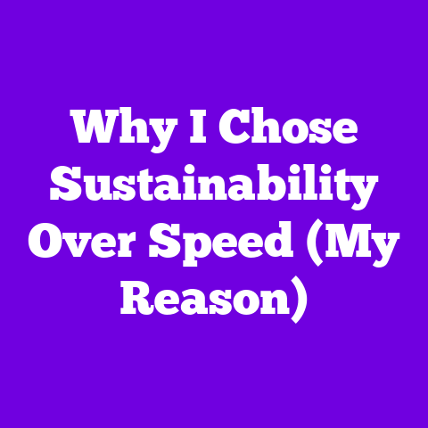 Why I Chose Sustainability Over Speed (My Reason)