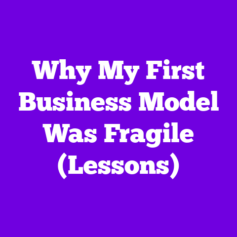 Why My First Business Model Was Fragile (Lessons)