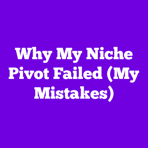 Why My Niche Pivot Failed (My Mistakes)