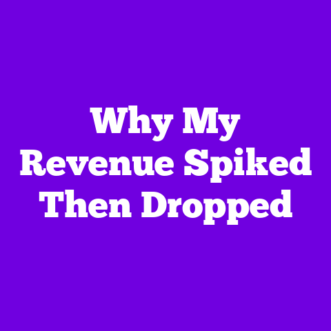 Why My Revenue Spiked Then Dropped
