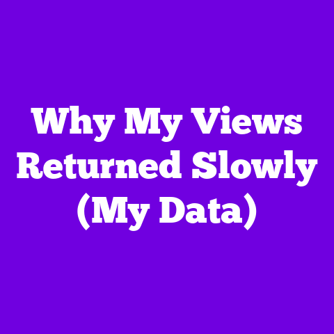 Why My Views Returned Slowly (My Data)